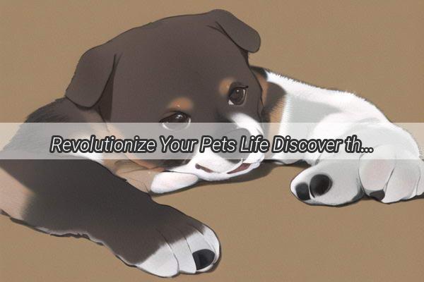 Revolutionize Your Pets Life Discover the Ultimate Dog Urinary Pad Solution